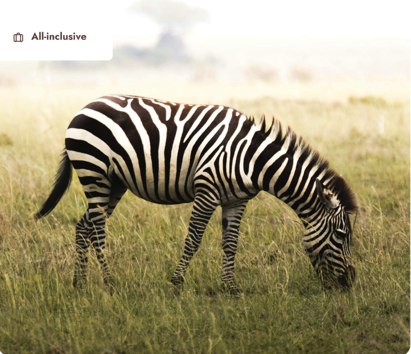 screenshot 2025 10 15 at 13.38.36