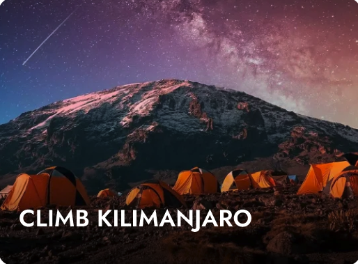 Climb Kilimanjaro