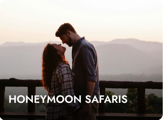 Honeymoon Safaris
