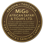 correct one removebg preview