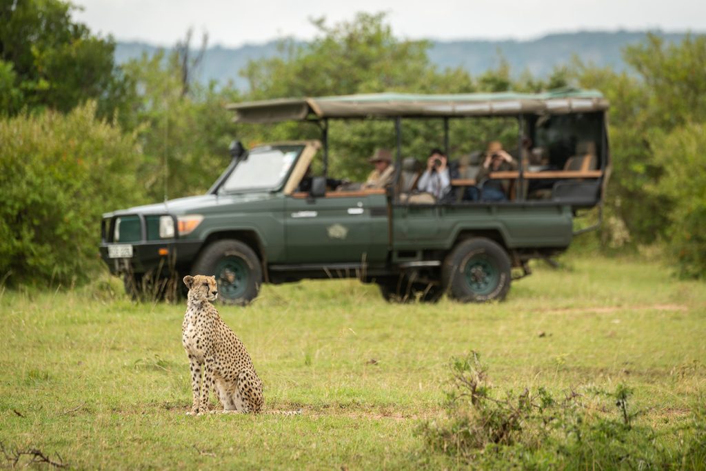 cheetah sitting on grass with truck behind