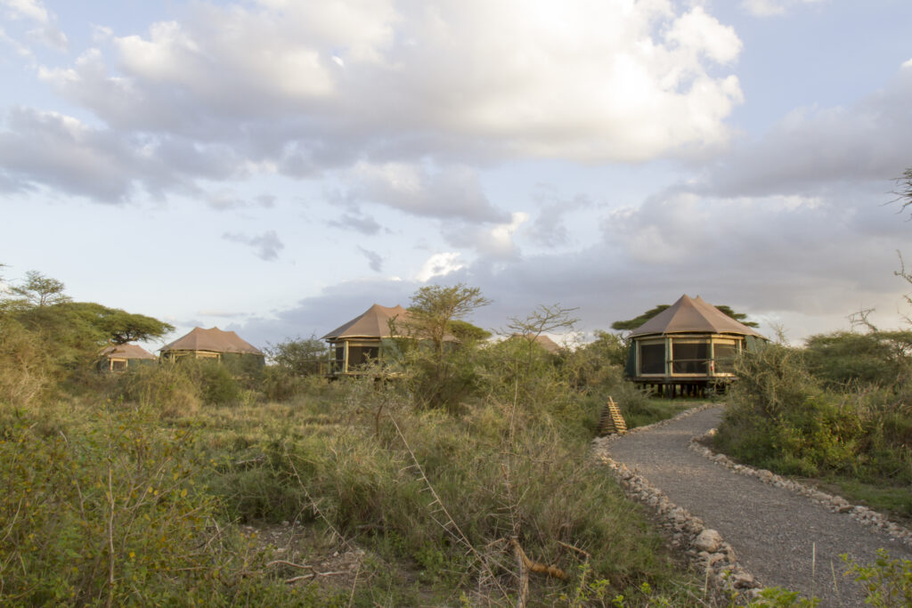 Beyond Comfort: Crafting Unforgettable Luxury Safari Experiences